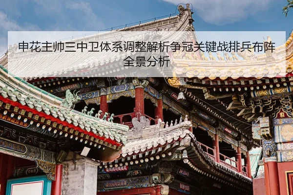 申花主帅三中卫体系调整解析争冠关键战排兵布阵全景分析